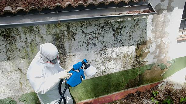 Top rated local Mold Remediation specialists in Westport, PA